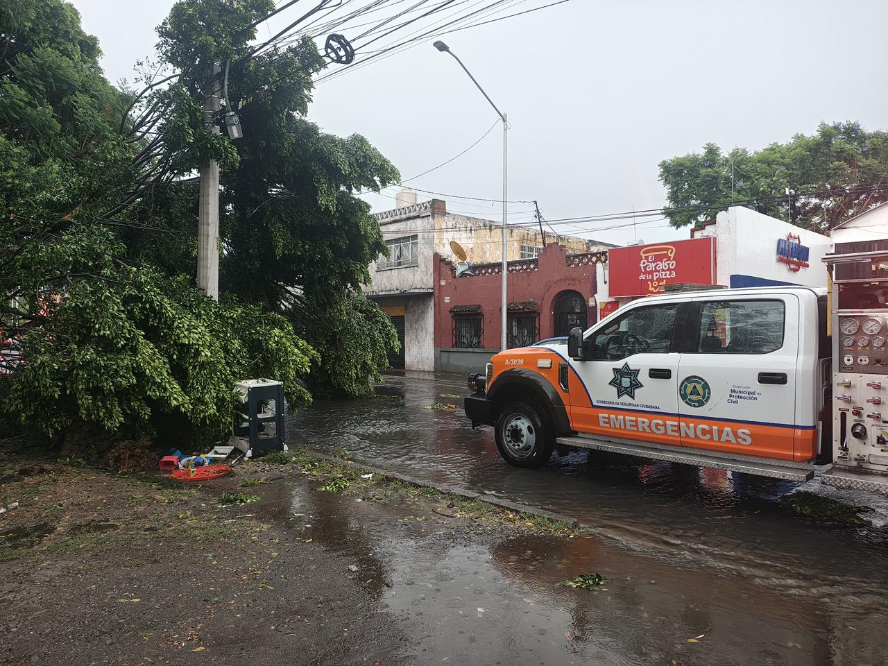 Imagen principal del artículo Gobierno de Pepe Chedraui atiende incidencias por lluvias y vientos