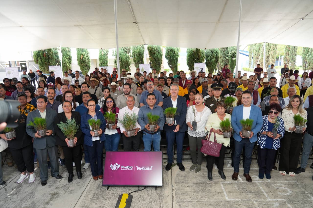 Imagen principal del artículo Avanza Pepe Chedraui en la recuperación de áreas verdes con “Raíces del Futuro”