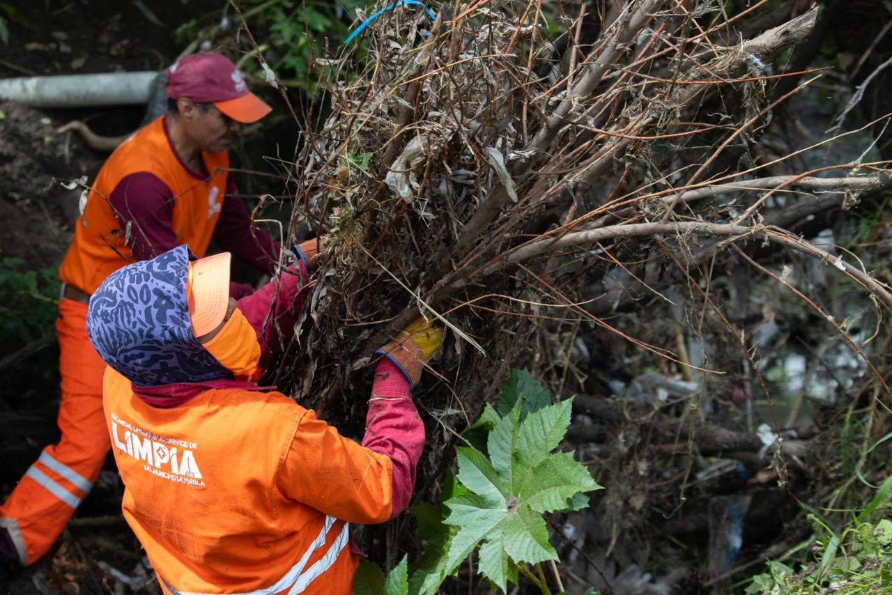 Imagen principal del artículo Gobierno de Pepe Chedraui fortalece acciones preventivas en San Jerónimo Caleras ante temporada de lluvias