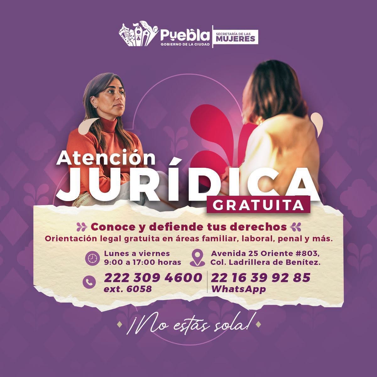 Imagen principal del artículo Gobierno de Pepe Chedraui acerca atención psicológica y asesoría jurídica gratuita a las mujeres de Puebla