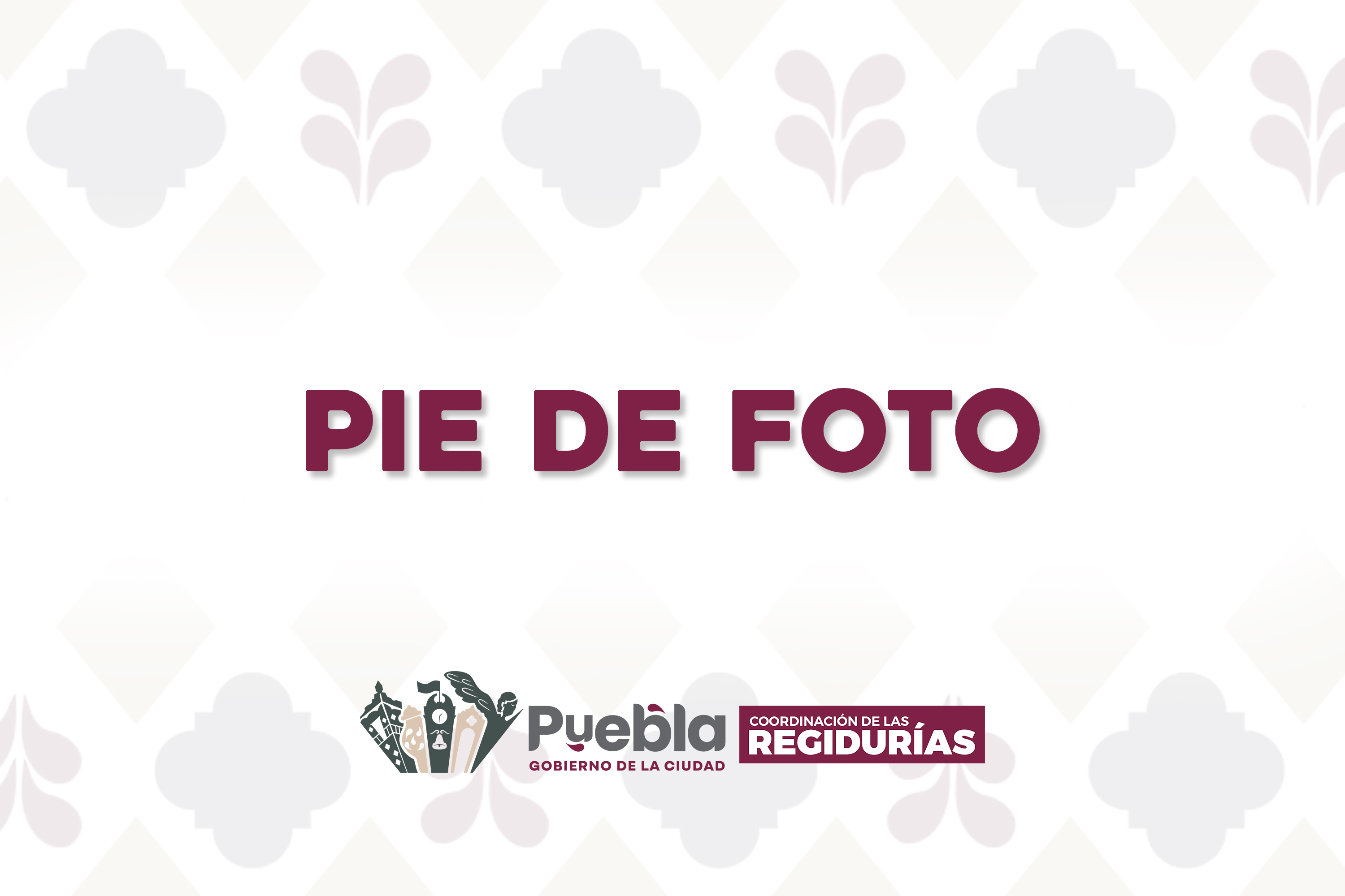 Imagen principal del artículo Cumplen al 100% comisiones del Cabildo durante junio