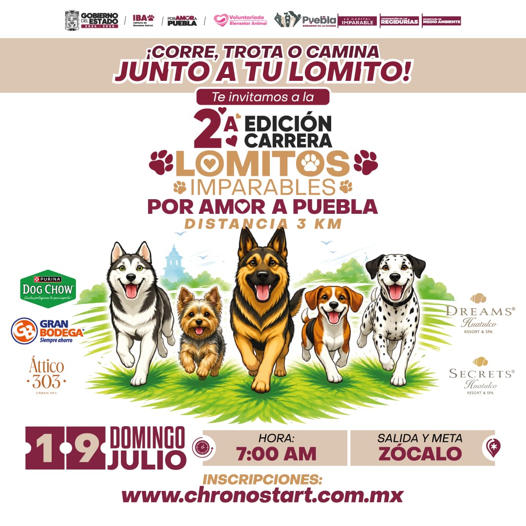 Imagen principal del artículo Mantiene Gobierno de la Ciudad convocatoria abierta para carrera "Lomitos Imparables Por Amor a Puebla"