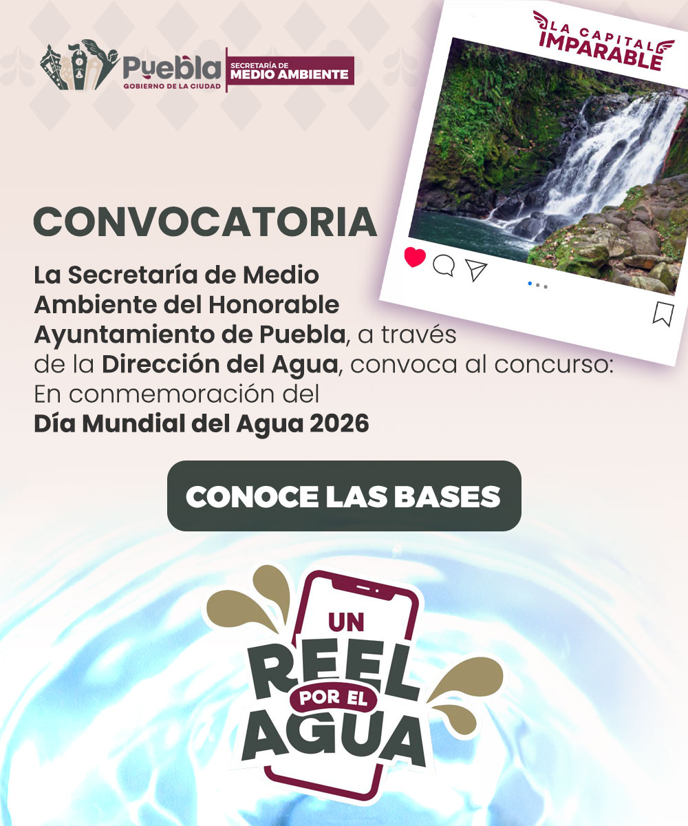 Convocatoria Un Reel por el Agua