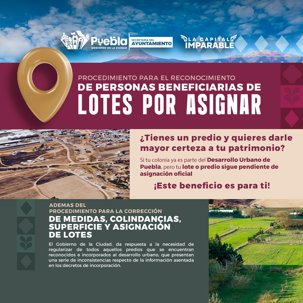 Lotes
